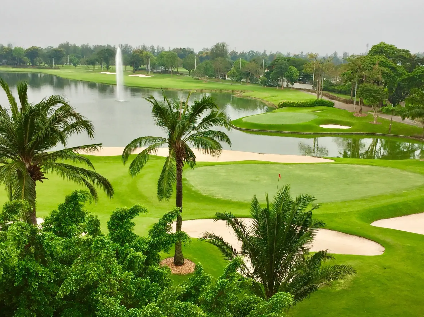 International Collaboration