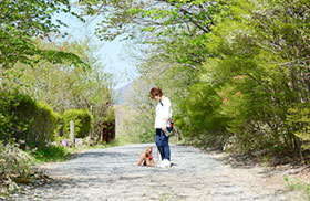 犬と散歩をする女性