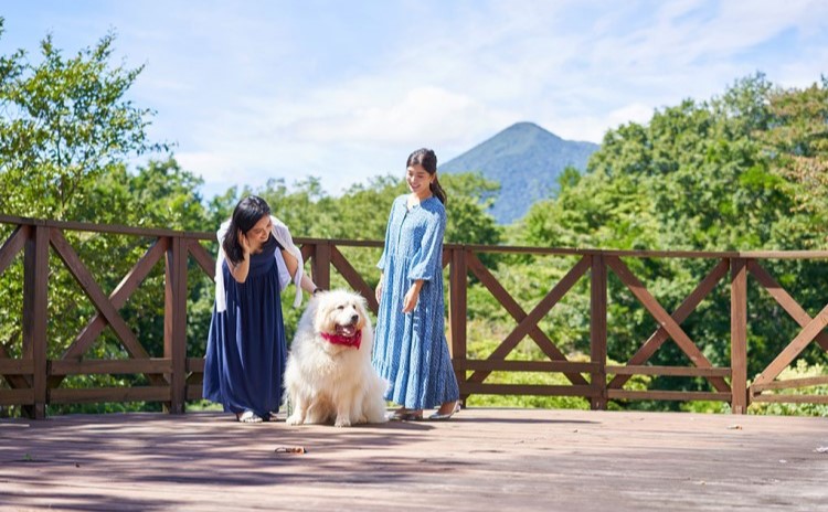 犬と散歩をする女性