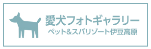 Sport & Do Resort リソルの森 リニューアル情報はこちら