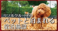 ペット施設
