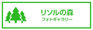 Sport & Do Resort リソルの森 リニューアル情報はこちら