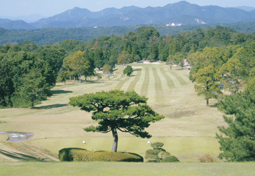 東条の森CC　大蔵コース