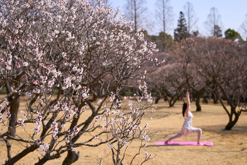 【春のおススメ】卒業前の思い出作り＆見頃を迎える梅のお花見はリソルの森で！