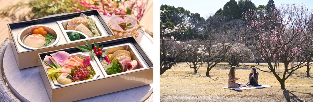 梅園でのお花見ピクニックにぴったりなお弁当「梅のピクニックBOX」