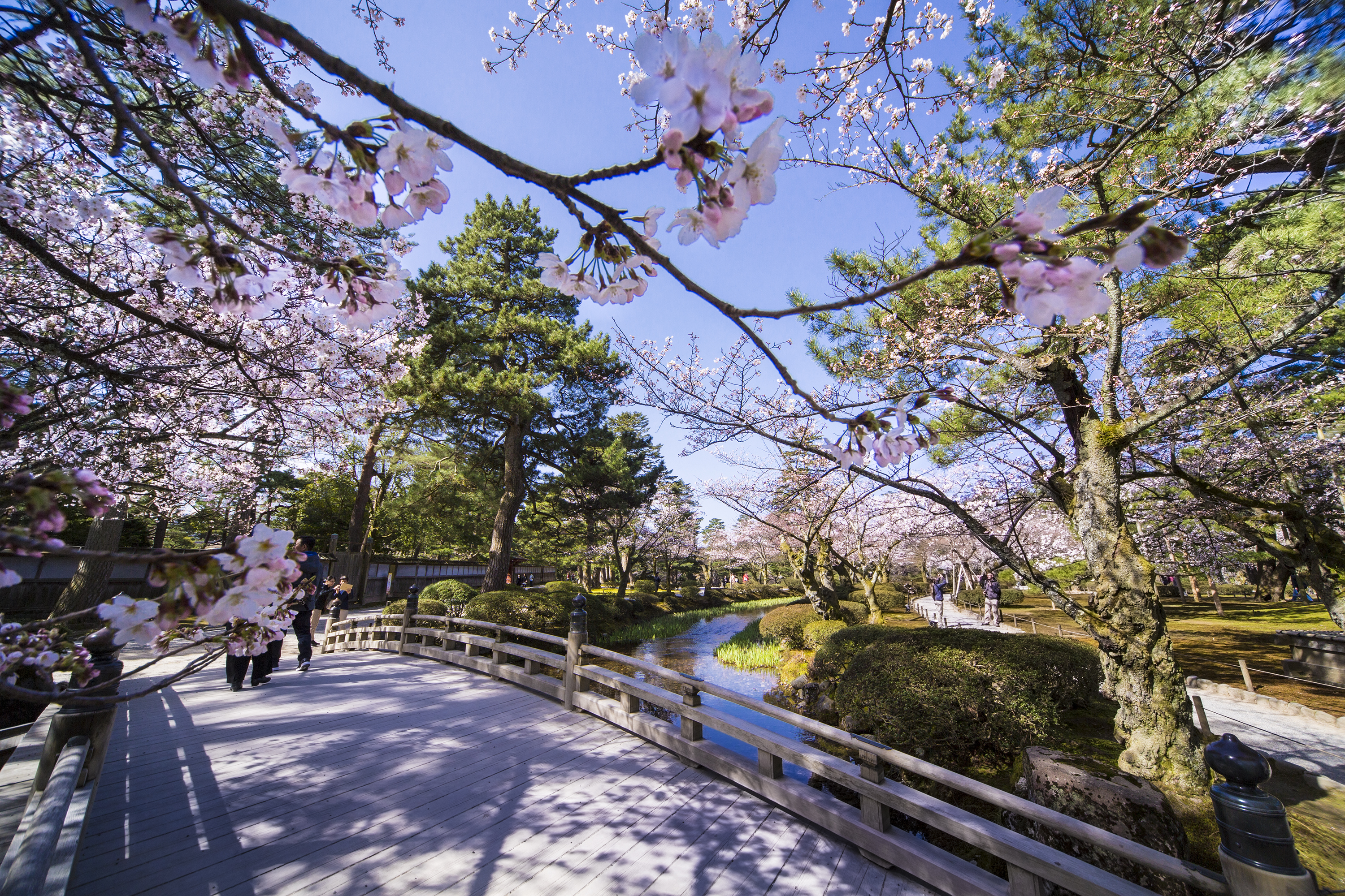 兼六園