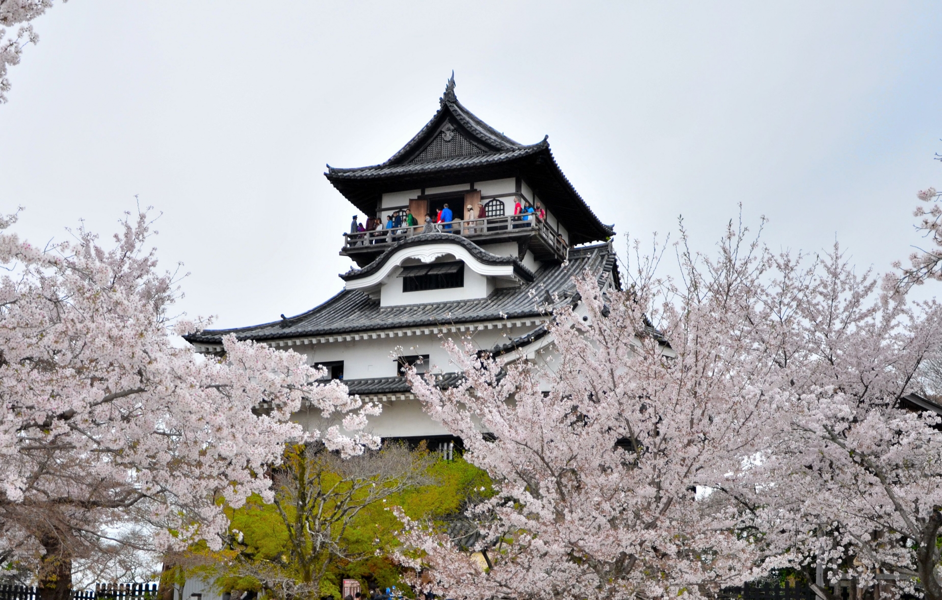 犬山城