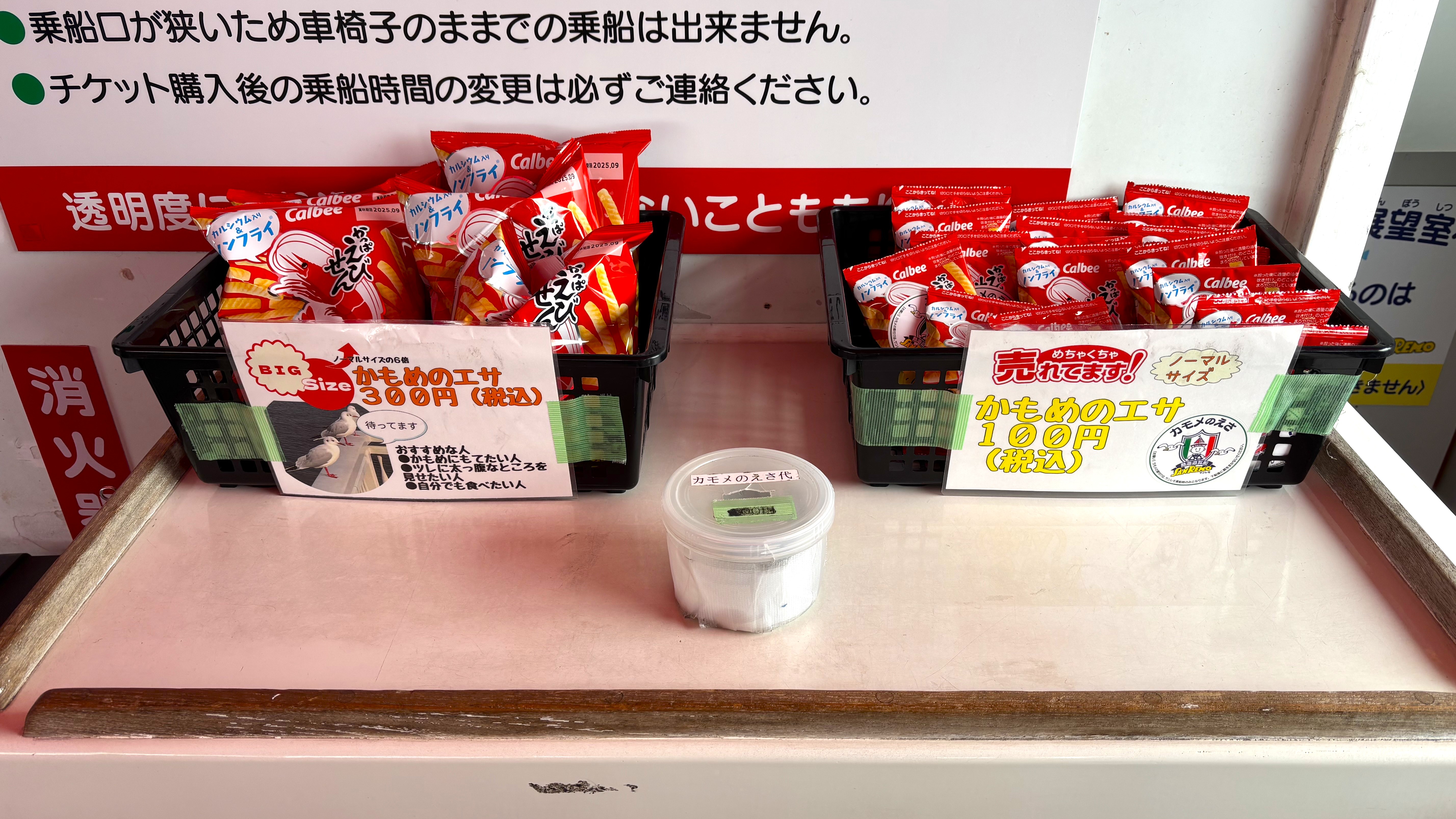 カモメの餌