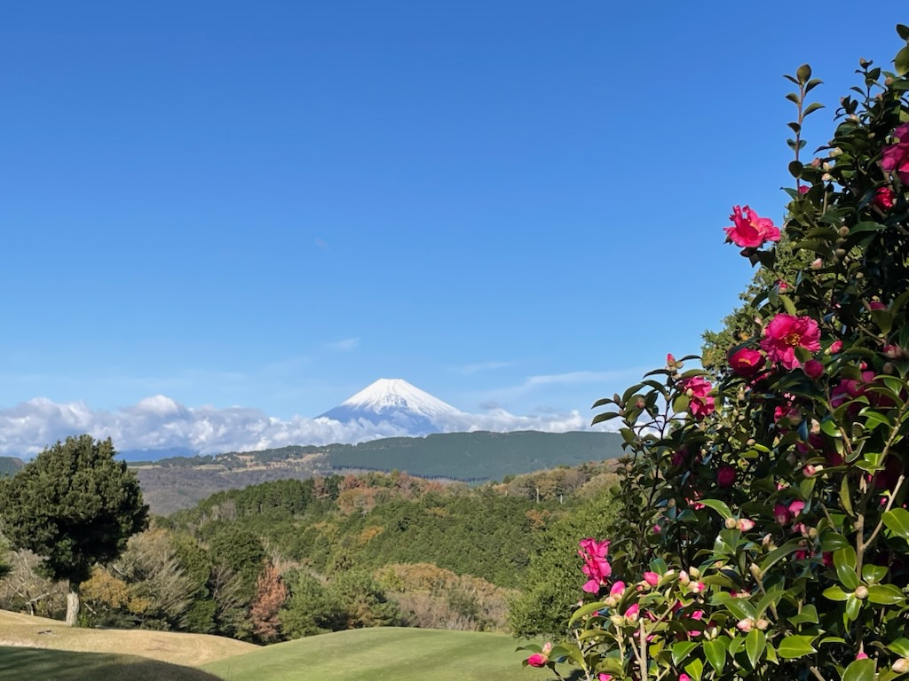 【ゴルフ場体験レポート】都心から約90分！富士山の絶景が楽しめるゴルフ場「大熱海国際ゴルフクラブ」