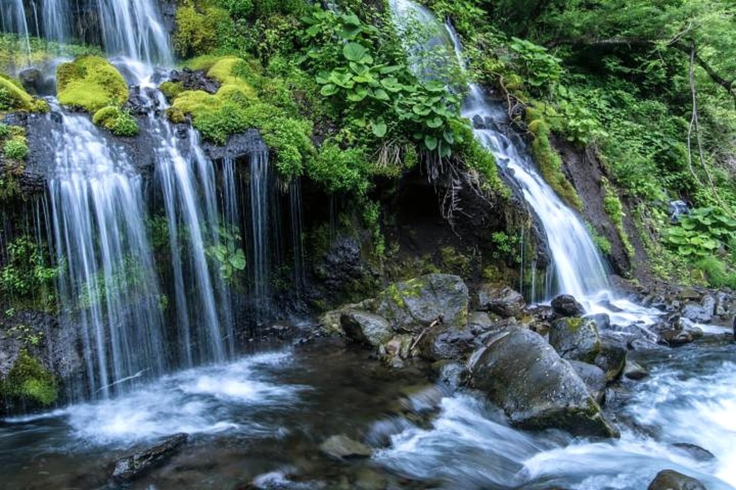 吐竜の滝