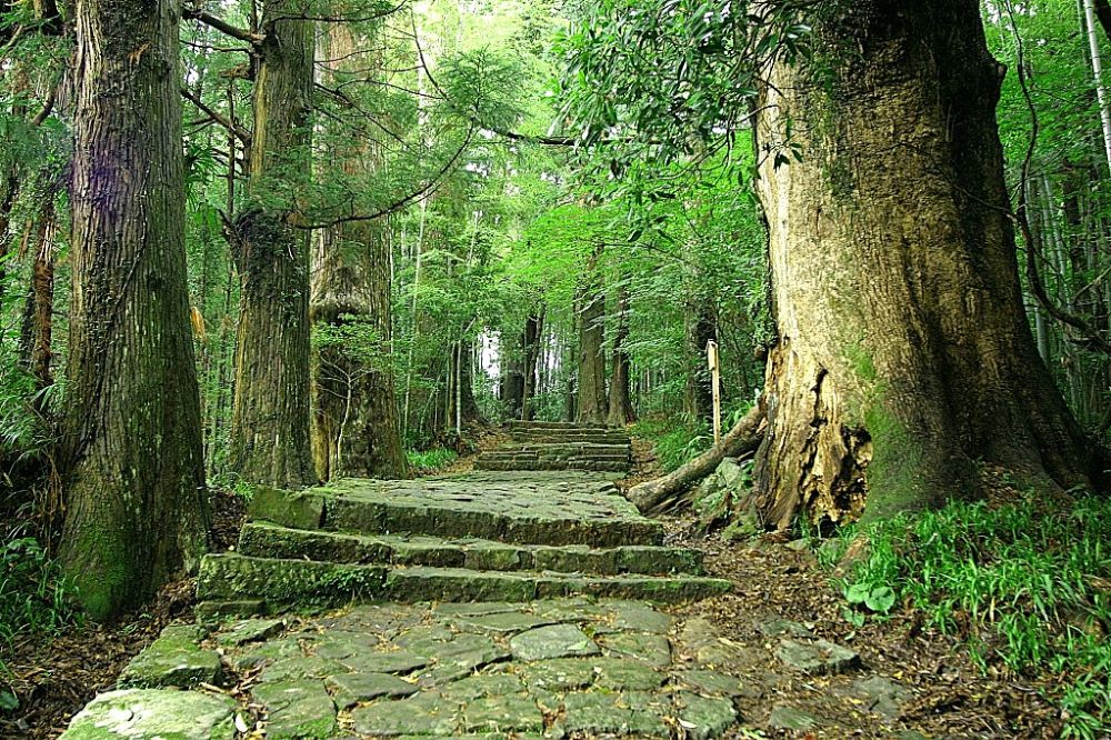紀伊山地の霊場と参詣道