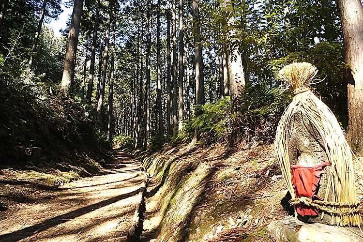 紀伊山地の霊場と参詣道