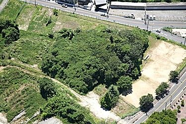 百舌鳥・古市古墳群-古代日本の墳墓群-