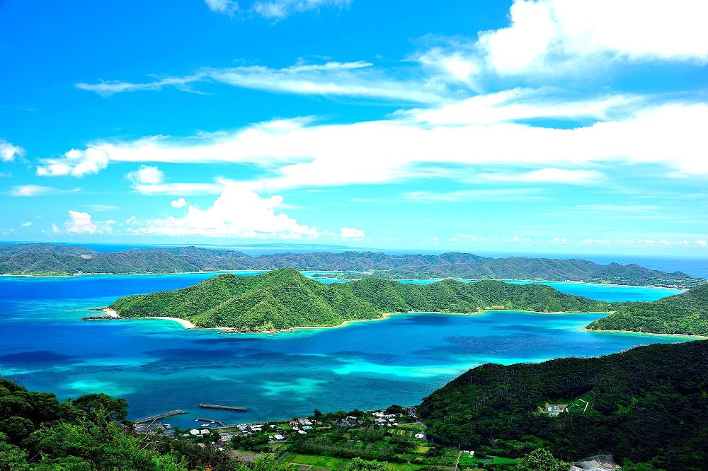 奄美大島、徳之島、沖縄島北部及び西表島