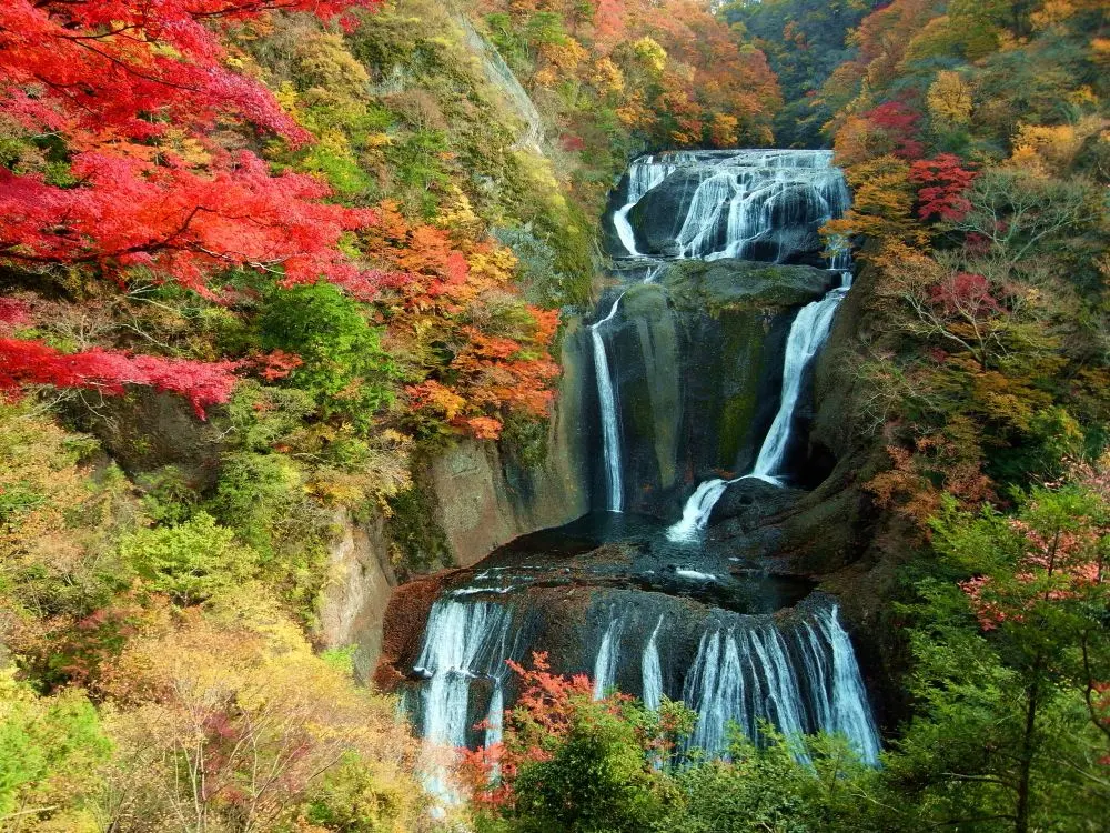 袋田の滝の写真