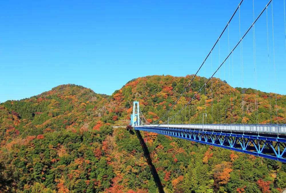 竜神大吊橋の写真