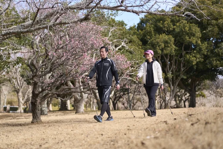専用ポールを使って梅園をウォーキングする男女