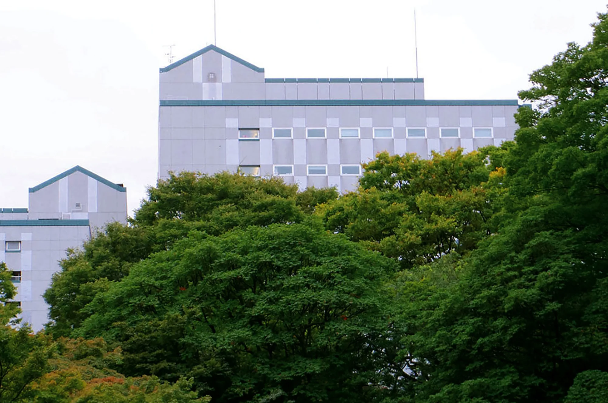 小石川公園 泉水