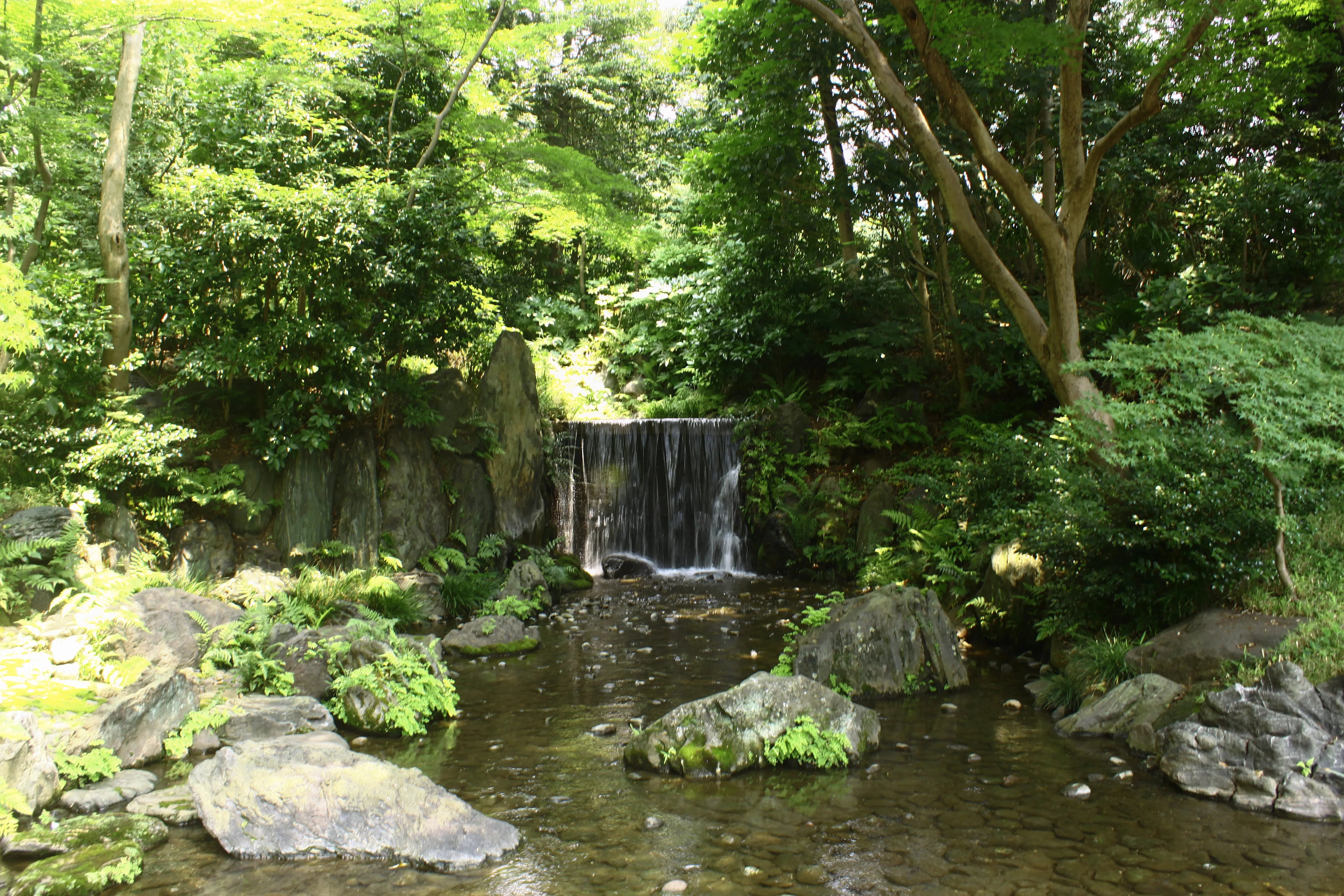 滝の写真