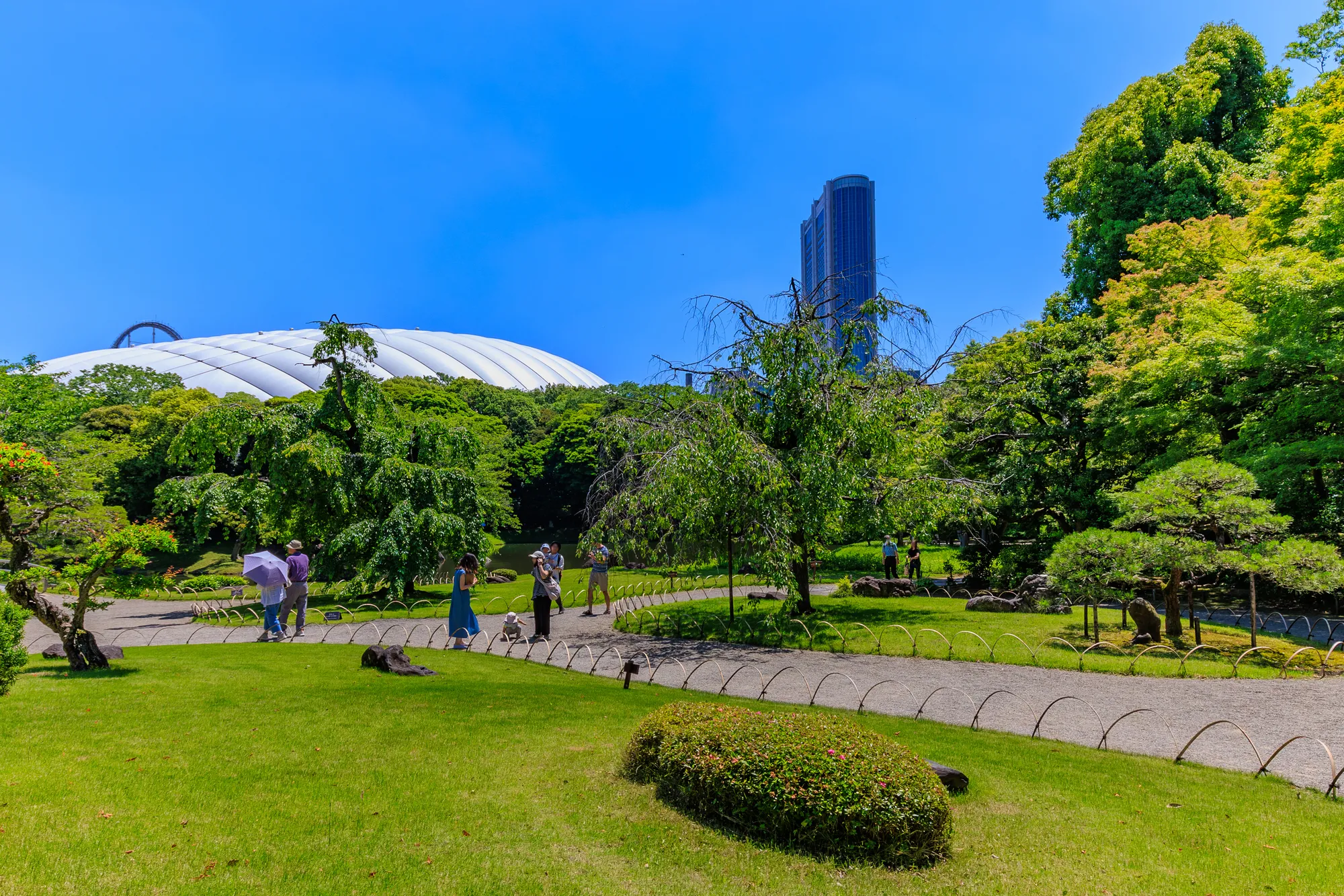 小石川後楽園から東京ドームが見える風景の写真