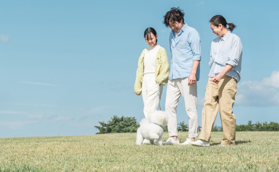 人にやさしい取り組みのイメージ